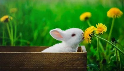 九游游戏-河北五超·微视频丨“河北五超”秦皇岛队对阵沧州队比赛前，两队互送当地特色礼品